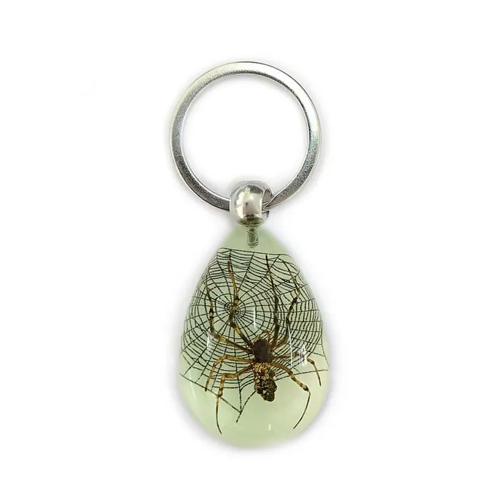 Key Glow Spider w/web