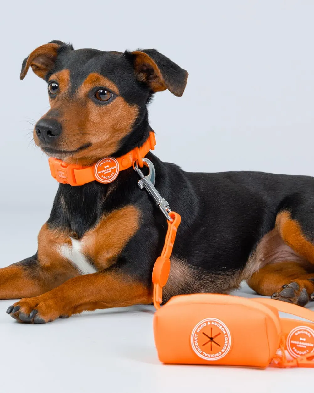 Waste Poop Bag Holder - Orange